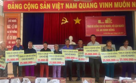 NOVALAND GROUP HAS GIVEN 20 COWS  FOR DAMAGED HOUSEHOLDS IN AN NINH DONG, DUC HOA WARD, LONG AN PROVINCE